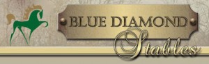 Blue Diamond Stables